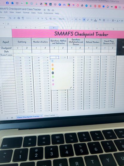 SMAAFS Assessment